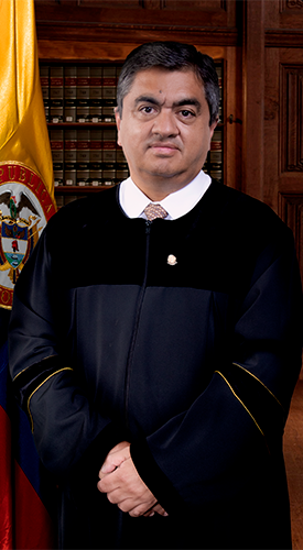 Magistrado Óscar Darío Amaya Navas