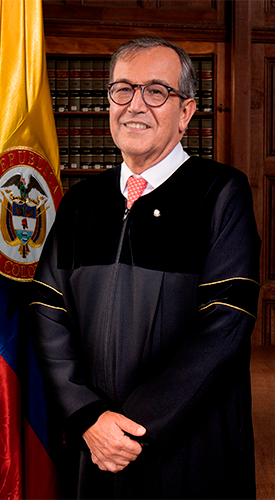 Magistrado Martín Gonzalo Bermúdez Muñoz