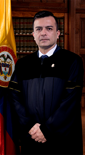 Magistrado Pedro Pablo Vanegas Gil